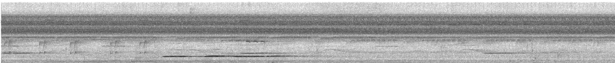 Undulated Tinamou - ML612446305