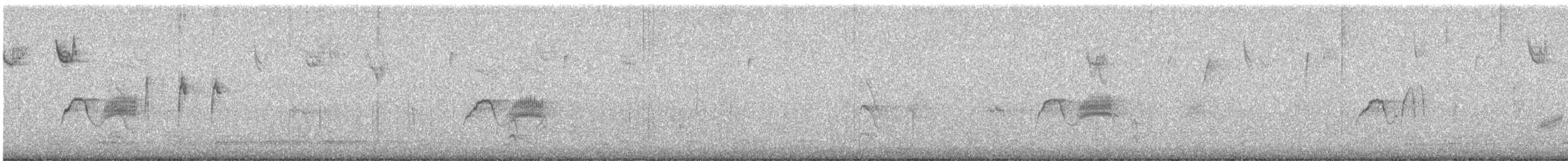 Светлобрюхий фиби - ML612449594