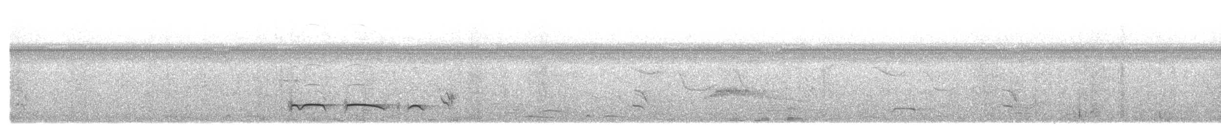 Лінивка-смугохвіст плямистобока (підвид striatipectus) - ML612449723