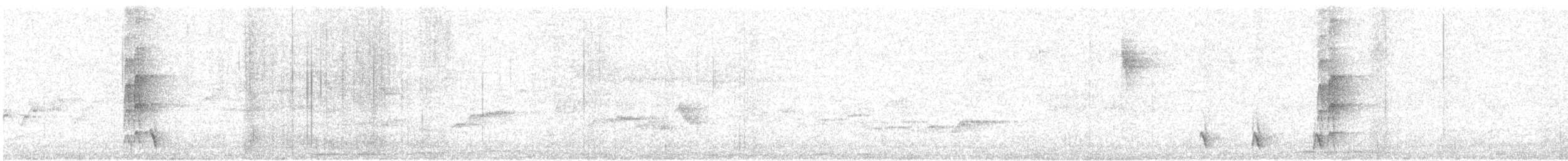 Strichelbaumspäher - ML612450183