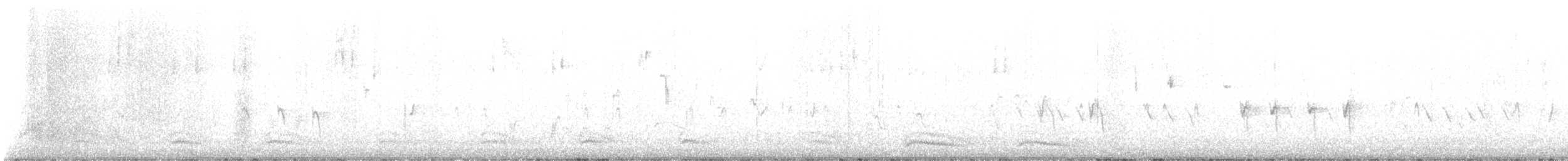 Шишкар ялиновий - ML612451341
