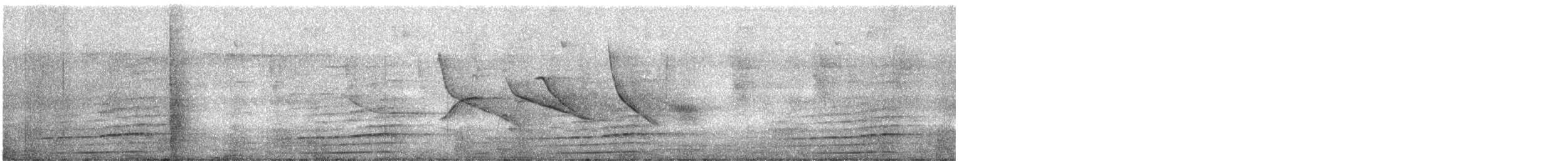 Toucan à bec noir - ML612451808