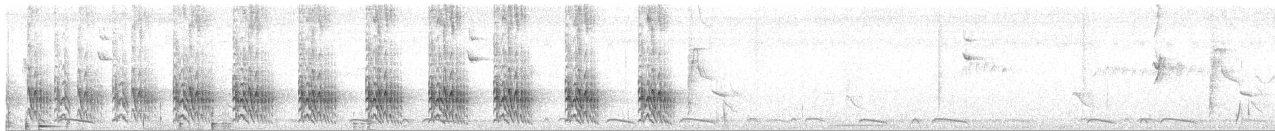 Schwarzscheitel-Maskentyrann - ML612458589