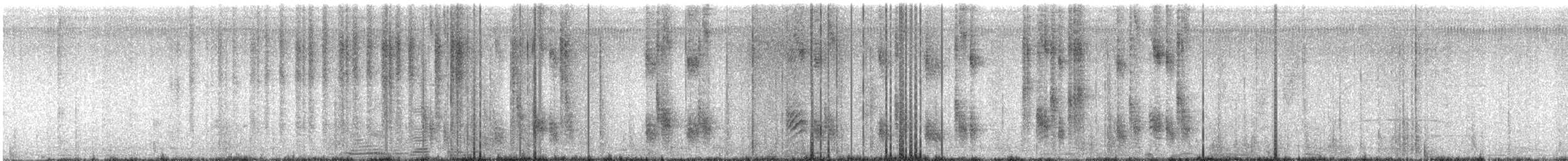 Stripe-backed Wren - ML612462028