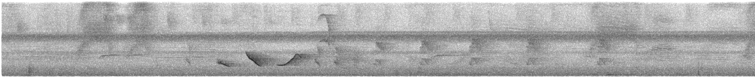 Зернолуск смугастоволий - ML612471682