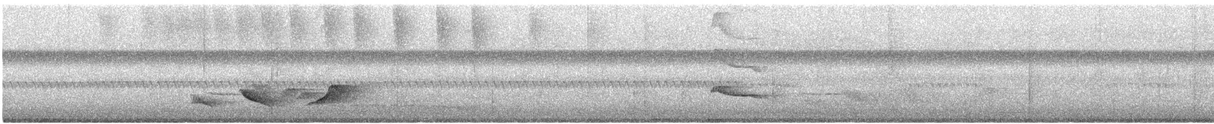 Зернолуск смугастоволий - ML612471684