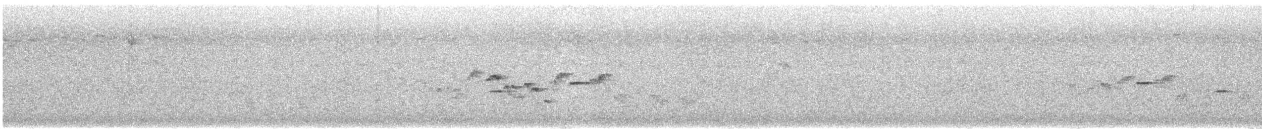 Скрытный ложнокрапивник - ML612473031