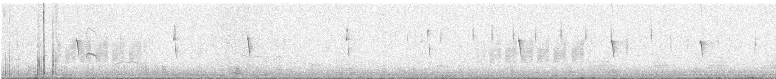 Светлобрюхий фиби - ML612475925