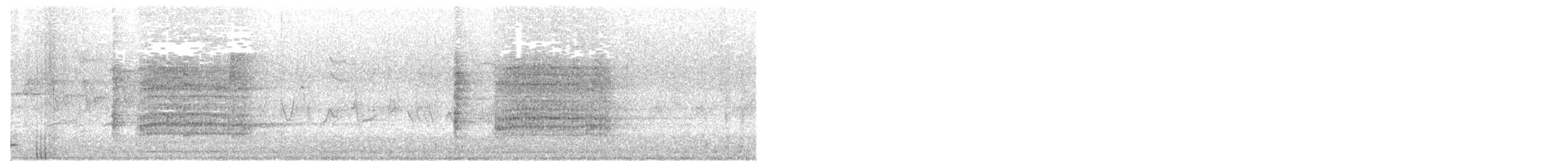 chřástal královský - ML612481264