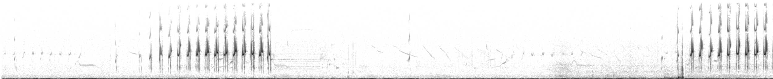 Пестрогрудый норник - ML612482900