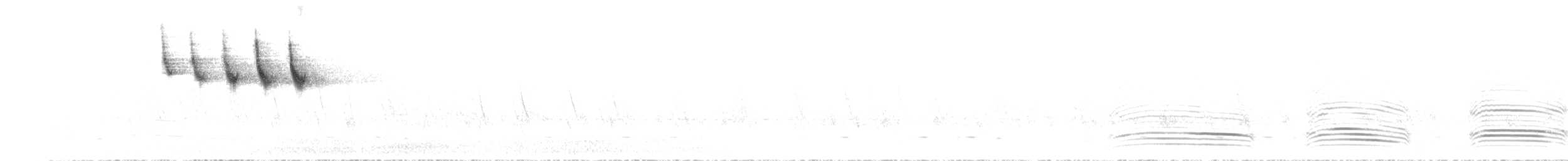 Streifengrasschlüpfer - ML612482919