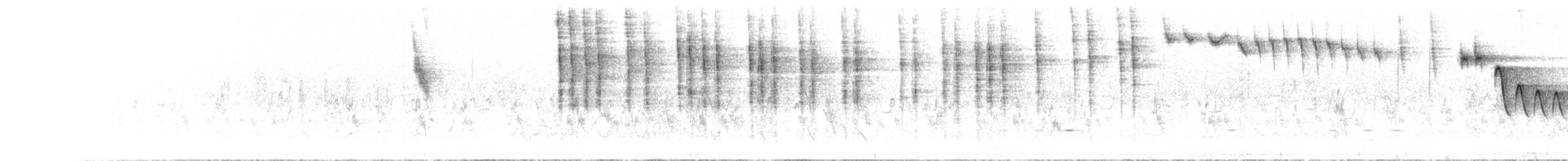 Striated Grasswren - ML612482922