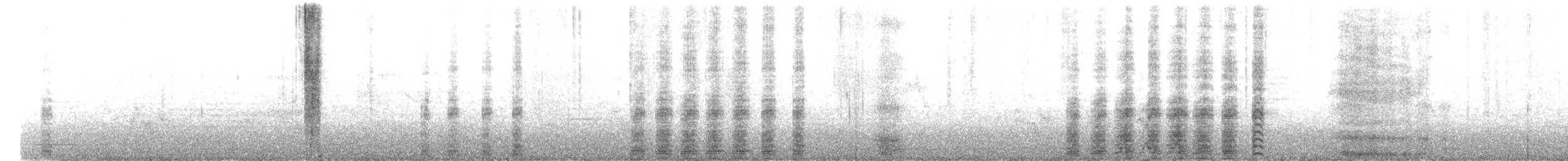 Domestic goose sp. (Domestic type) - ML612484984