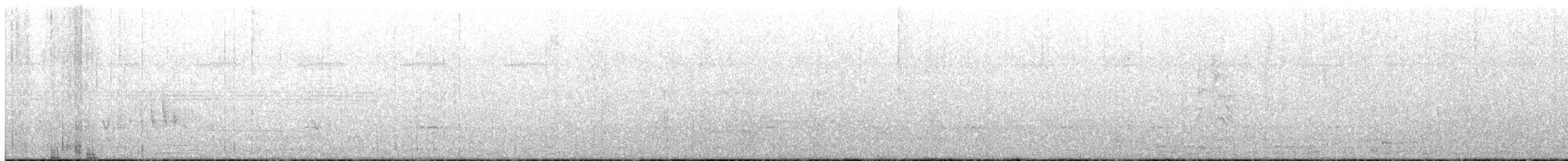 White-crested Tyrannulet - ML612485322