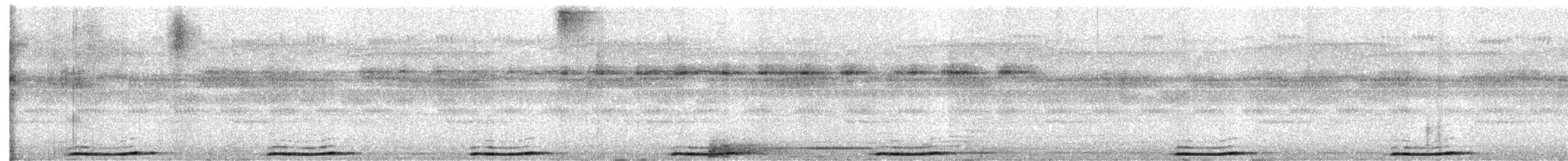 Сова-голконіг далекосхідна - ML612486961