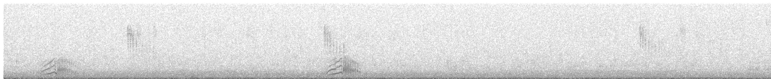ברבור קטן (אירואסייתי) - ML612487354
