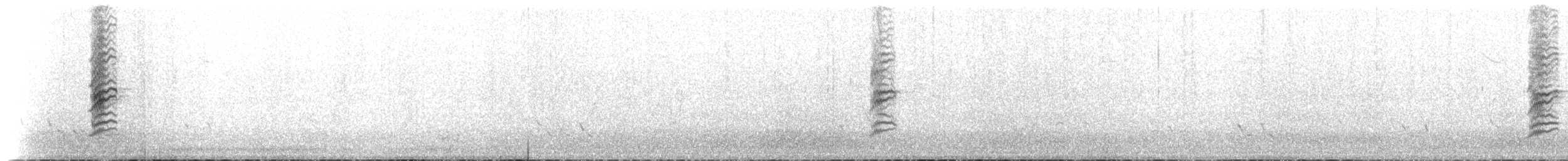 hvitpannehonningeter - ML612487856