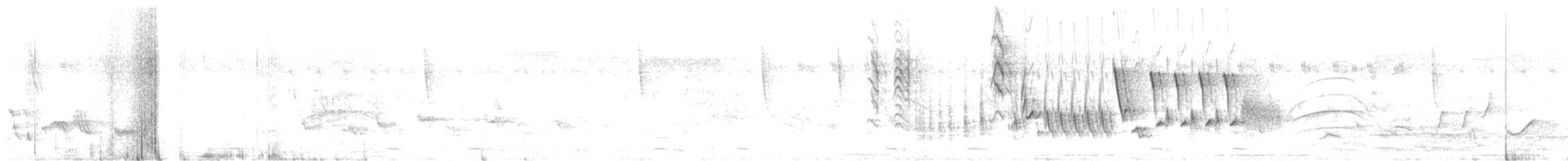 Southern House Wren - ML612489802