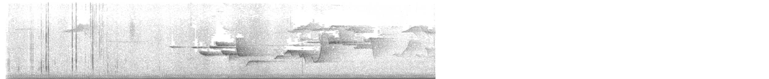Яванская короткохвостка - ML612494844