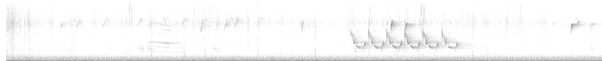 Каролинский крапивник - ML612495331