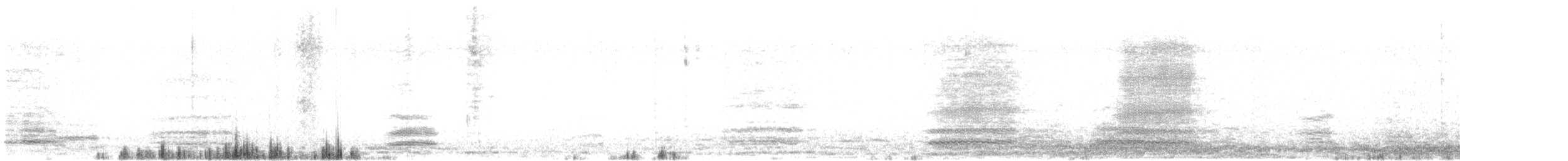 Тасманийский ворон - ML612498427