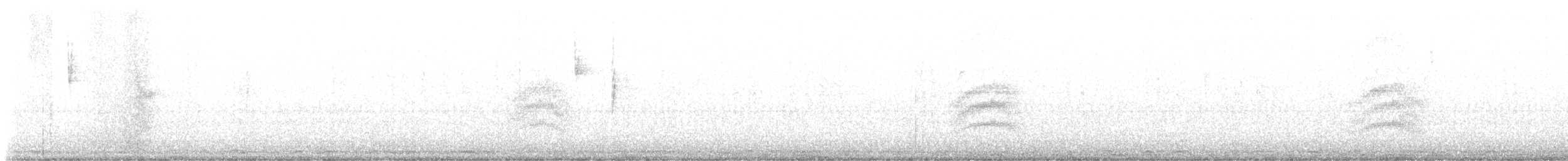 Тауї плямистий - ML612506257