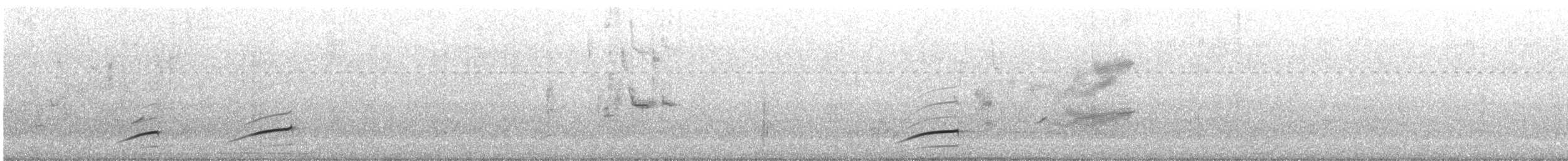 Чернокрылая монашка - ML612506463