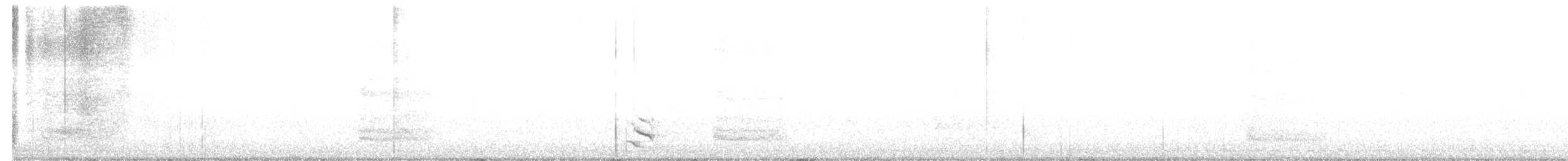 Длинноклювый пересмешник - ML612507296