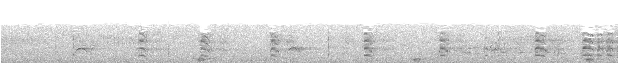 Snowy-crowned Tern - ML612507539