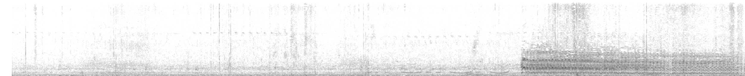 Spotless Crake - ML612511363