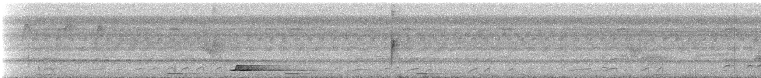 Tinamou à calotte noire - ML612515348