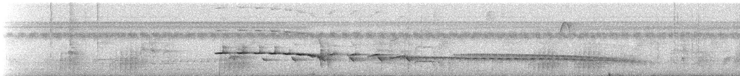 Kuzeyli Kestanerengi Karıncakuşu (hemimelaena) - ML612515527