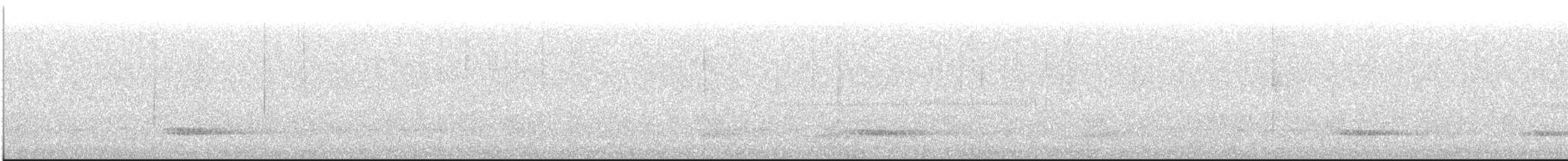 Каштановый скрытохвост - ML612516222