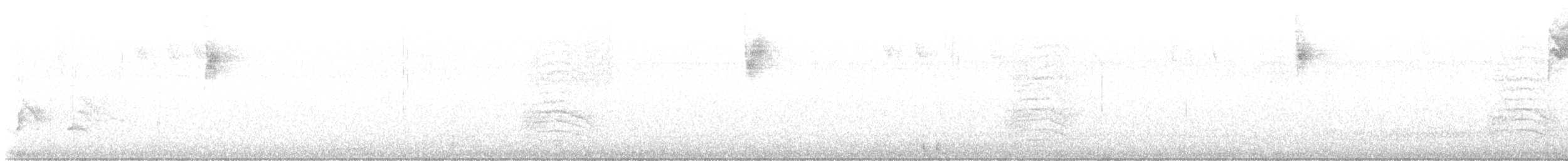 Пересмішник сірий - ML612517248