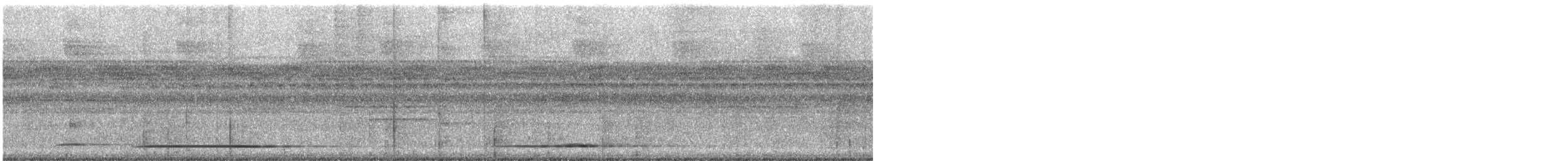 Tinamou à gorge blanche - ML612517973