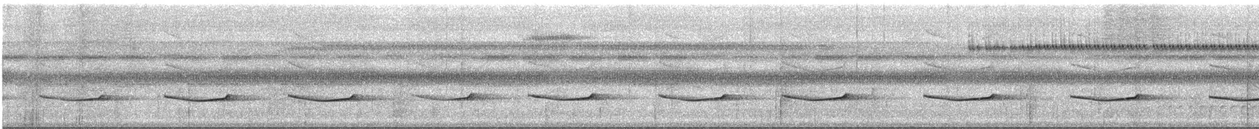 Aulia cendré - ML612517994