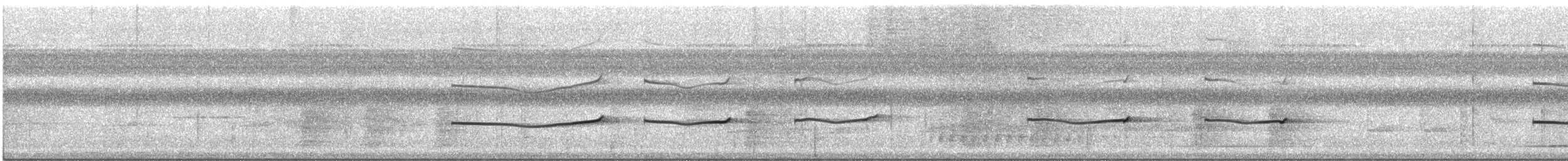 Aulia cendré - ML612517996