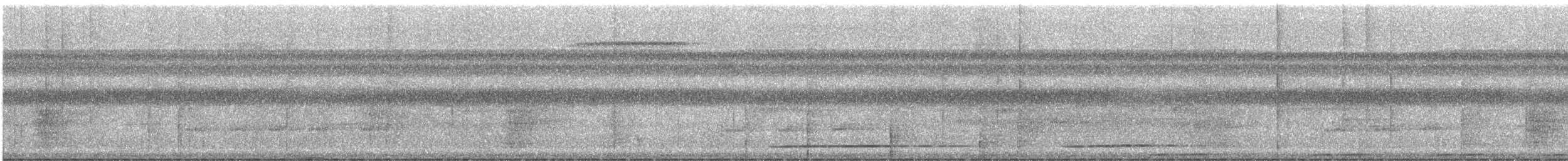 White-throated Tinamou - ML612518000