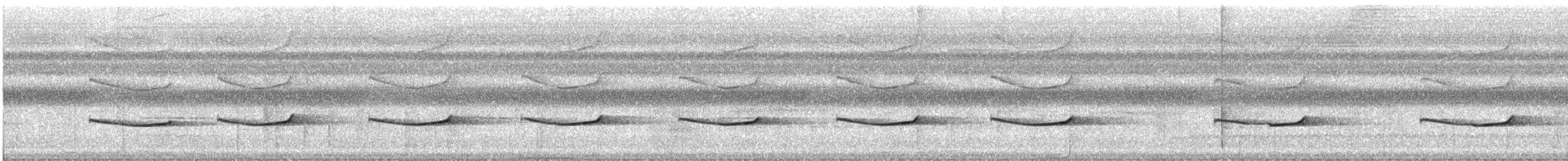 Aulia cendré - ML612518008