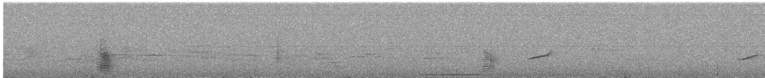 svartgumptrupial - ML612520177