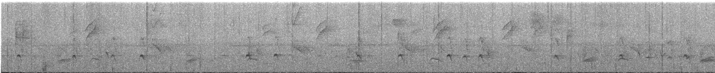 Fleckenbrust-Ameisenvogel - ML612521566