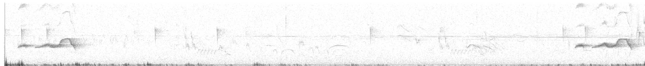 Strichelrücken-Ameisenfänger - ML612522373