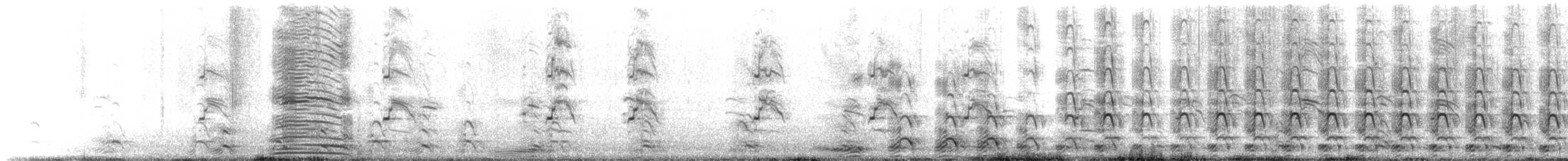 アメリカオオセグロカモメ - ML612522782
