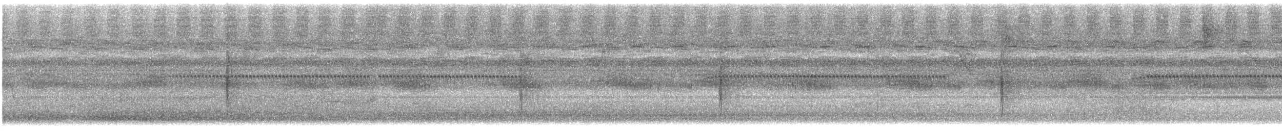 Çizgili Büyük Tiran - ML612524192