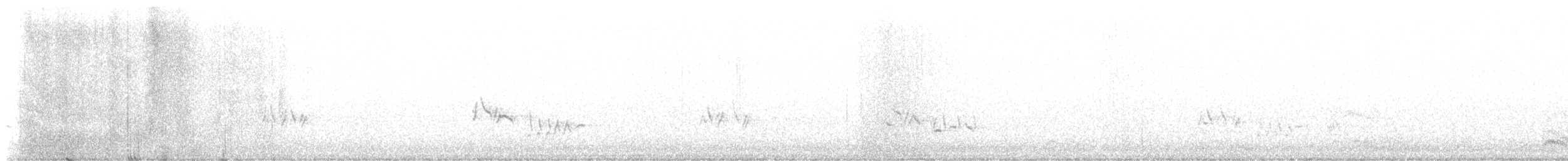gråsolitærtrost - ML612528215