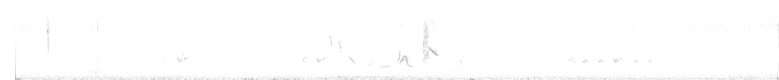 Akaziengrasmücke - ML612528418
