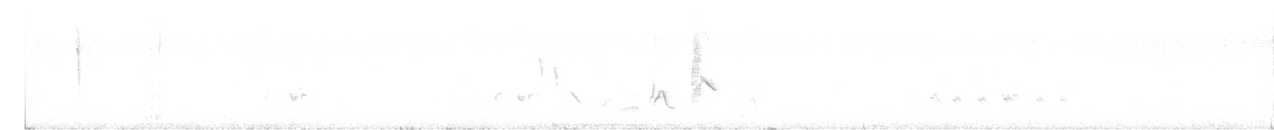 Arabian Warbler - ML612528418
