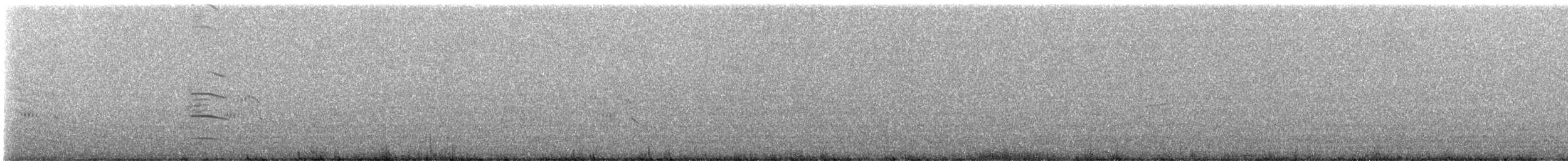 Royal Tern - ML612529144