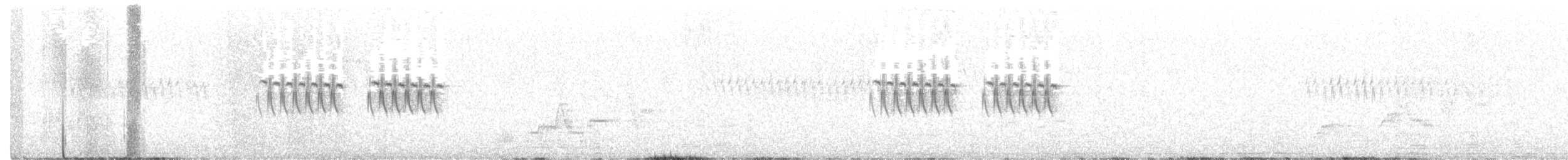 Kara Gözlü Junko (hyemalis/carolinensis) - ML612529446