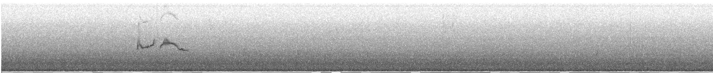 ハジロクロタイランチョウ - ML612530184